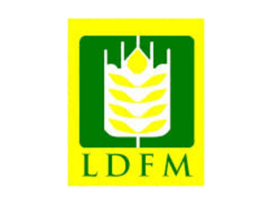 LDFM